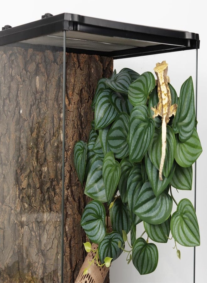 WOLEDOE 2Pack Reptile Fake Plants for Terrarium, Snake Tank Accessories, Habitat Decor Artificial Hanging Plants with Suction Cup - Fake Calathea Orbifolia - Image 3